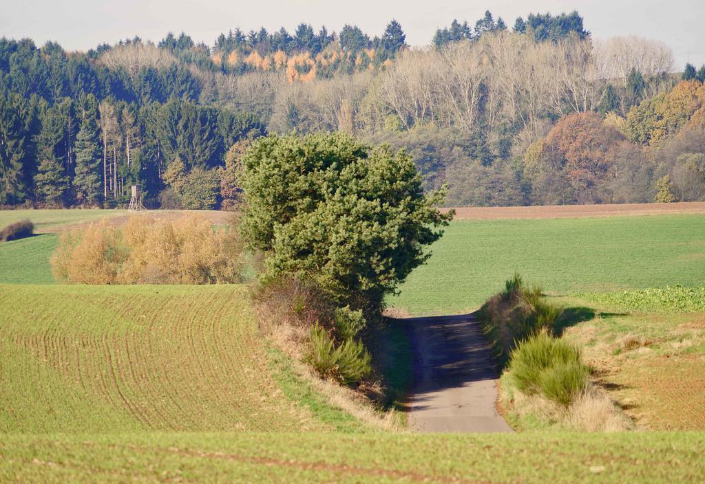 SaarlandTraum Weihermühle Schmelz Exterior foto